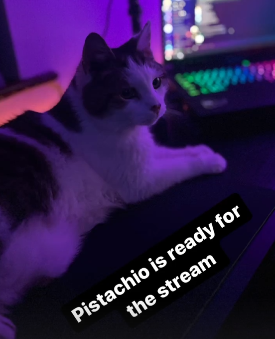 Pistachio ready for stream 