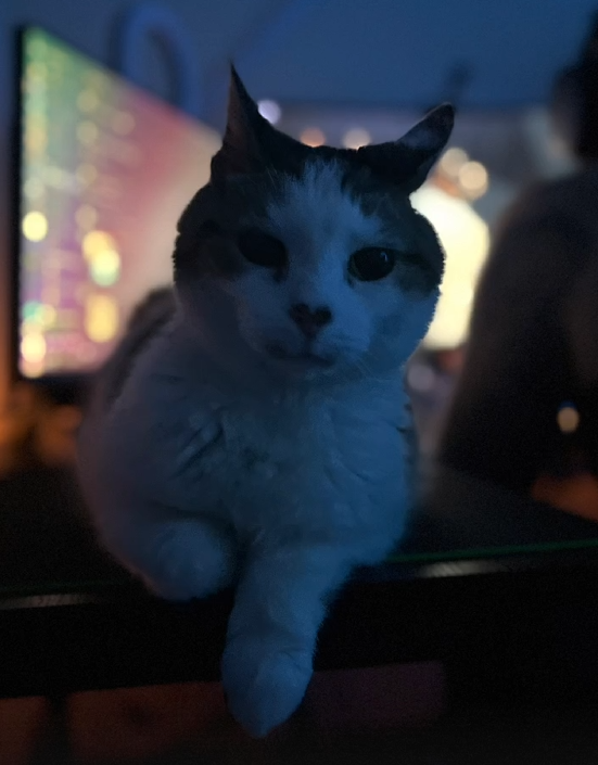 Pistachio's favorite spot